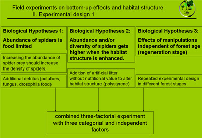 Fieldexperiment