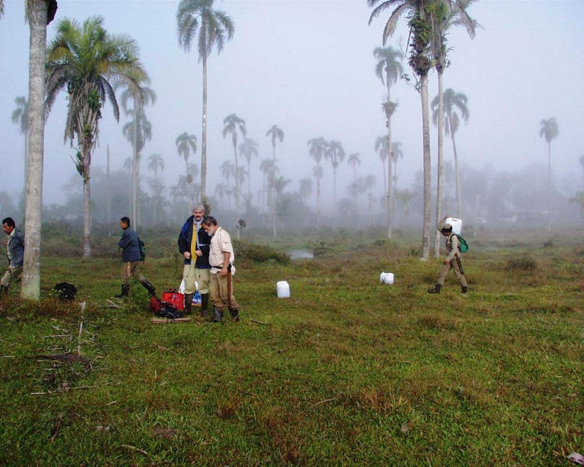 Earthworm sampling