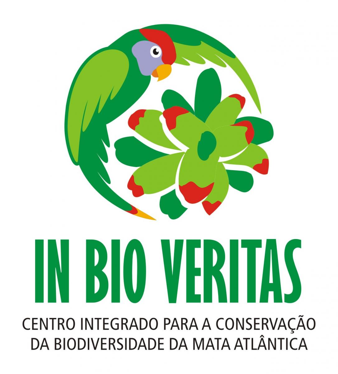 IBV logo